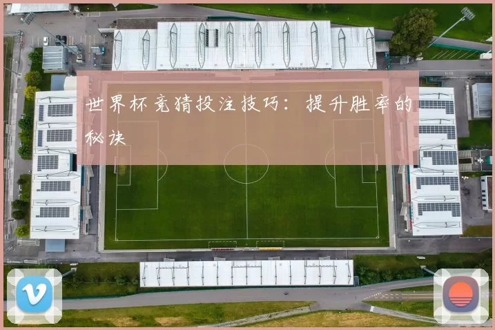 世界杯竞猜投注技巧：提升胜率的秘诀
