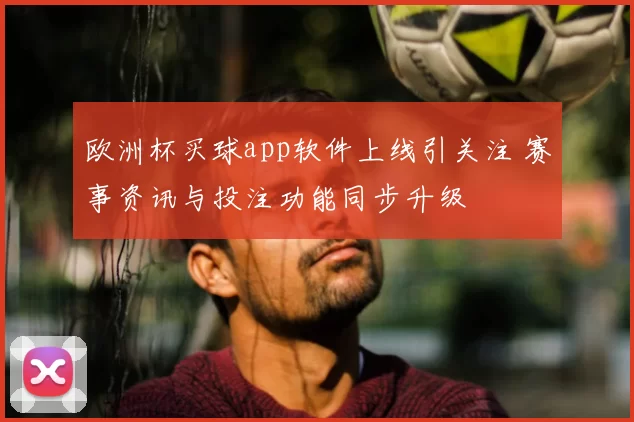 欧洲杯买球app软件上线引关注 赛事资讯与投注功能同步升级