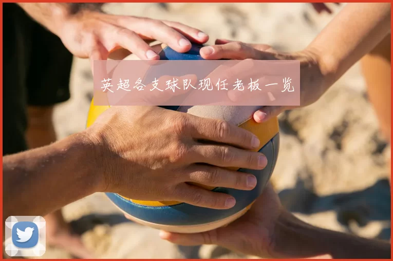 英超各支球队现任老板一览