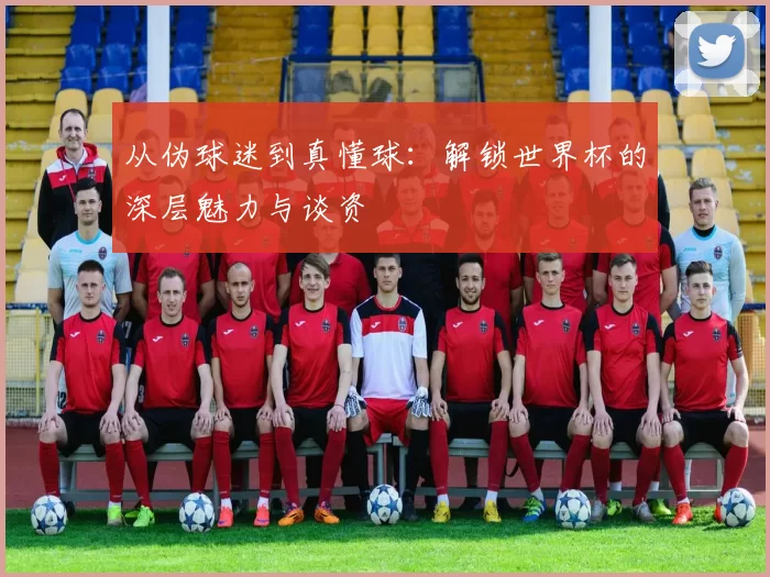 从伪球迷到真懂球:解锁世界杯的深层魅力与谈资