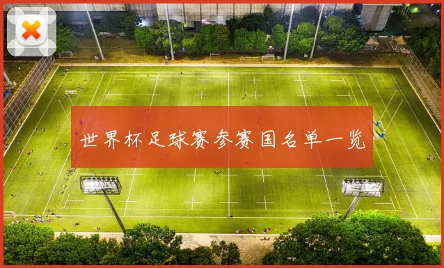 世界杯足球赛参赛国名单一览