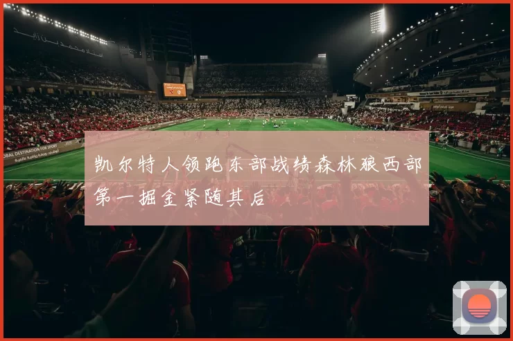 凯尔特人领跑东部战绩森林狼西部第一掘金紧随其后