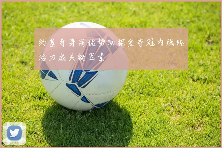 约基奇身高优势助掘金夺冠内线统治力成关键因素