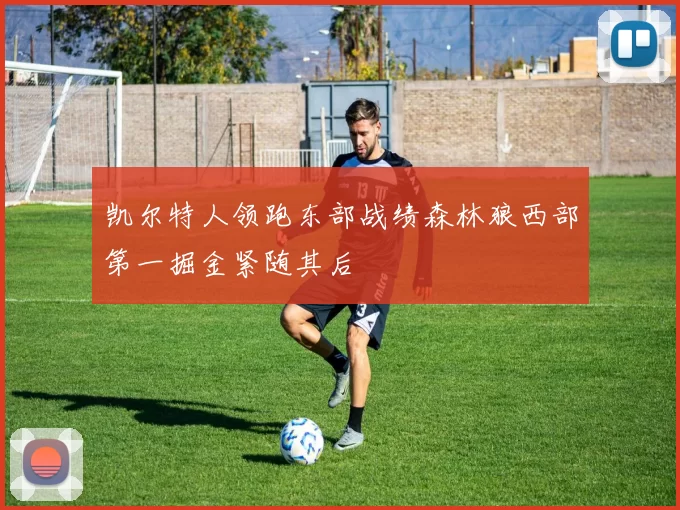 凯尔特人领跑东部战绩森林狼西部第一掘金紧随其后